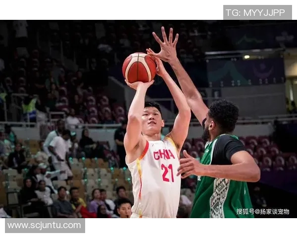 深圳篮球队配合变革引发热议新战术助力球队崛起与发展