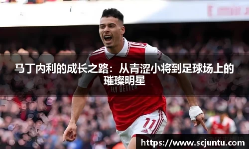 马丁内利的成长之路：从青涩小将到足球场上的璀璨明星